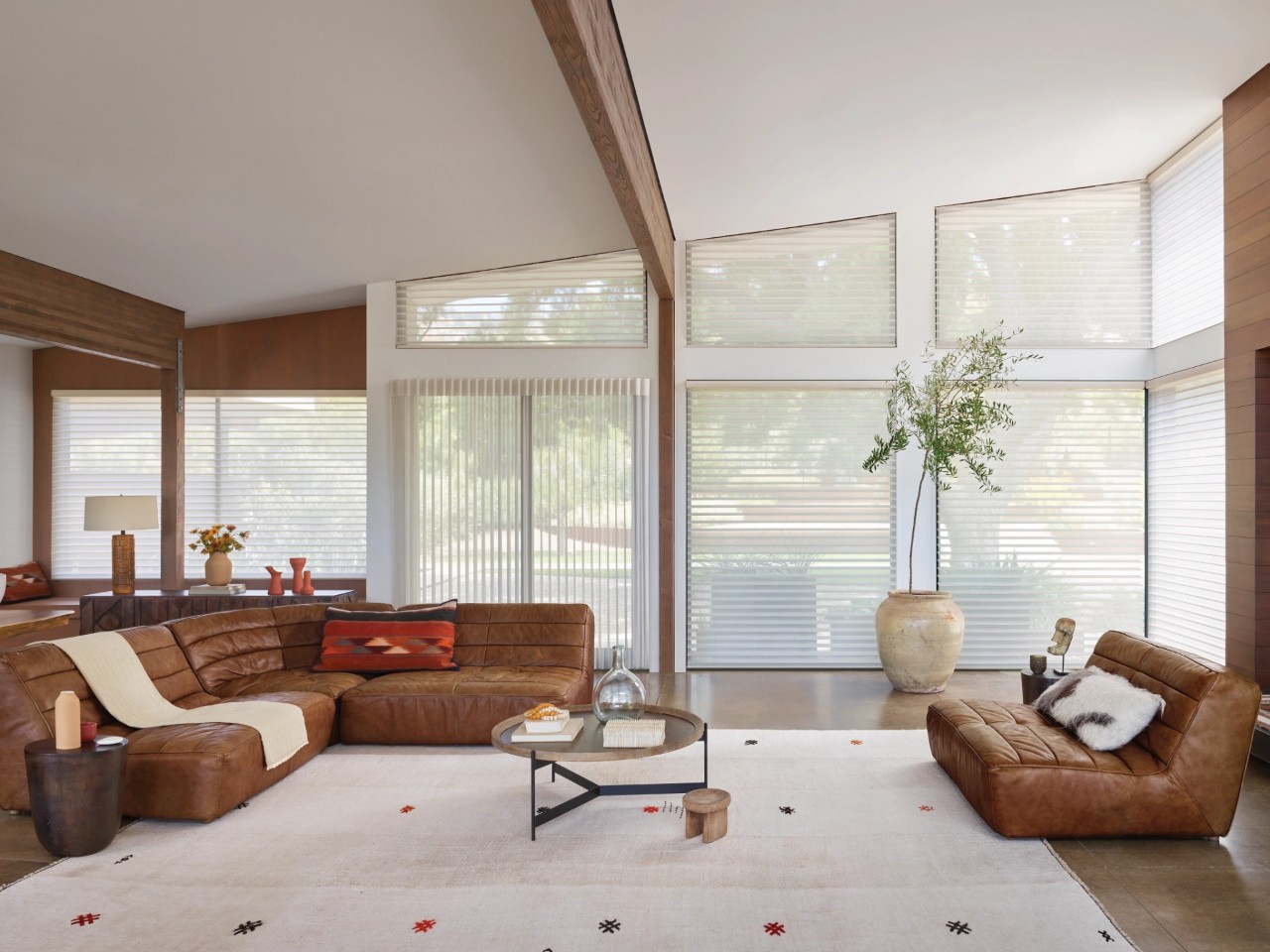 Hunter Douglas Silhouette® Sheer Shades, window sheers, sheer curtains, sheer shadings near Bellingham, Washington (WA)